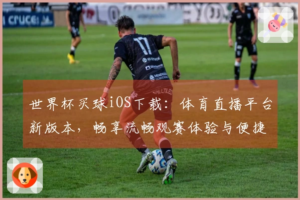 世界杯买球iOS下载：体育直播平台新版本，畅享流畅观赛体验与便捷操作指南
