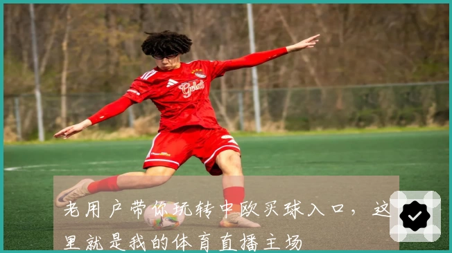 老用户带你玩转中欧买球入口,这里就是我的体育直播主场