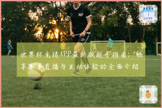 世界杯竞猜APP最新版新手指南：畅享赛事直播与互动体验的全面介绍