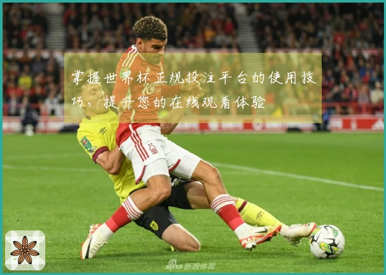 掌握世界杯正规投注平台的使用技巧,提升您的在线观看体验