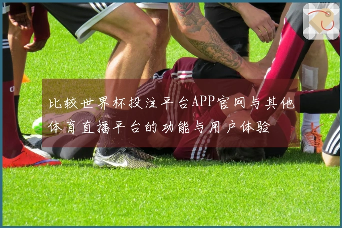 比较世界杯投注平台APP官网与其他体育直播平台的功能与用户体验