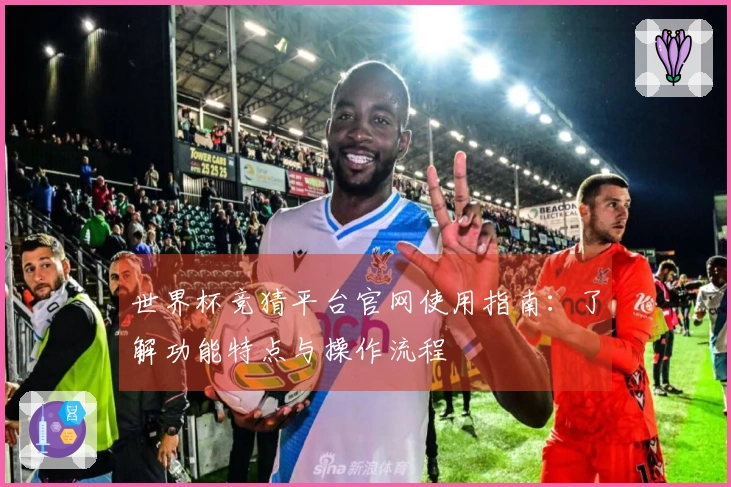 世界杯竞猜平台官网使用指南：了解功能特点与操作流程