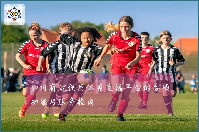 如何有效使用体育直播平台的各项功能与服务指南
