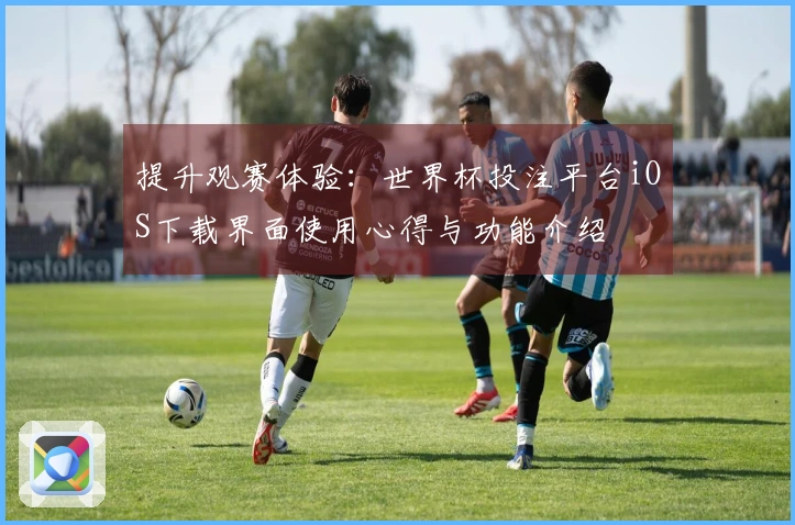 提升观赛体验:世界杯投注平台iOS下载界面使用心得与功能介绍