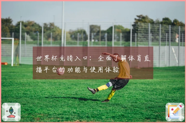 世界杯竞猜入口：全面了解体育直播平台的功能与使用体验