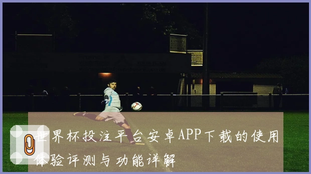 世界杯投注平台安卓APP下载的使用体验评测与功能详解
