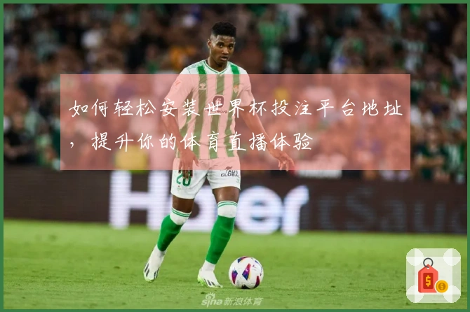 如何轻松安装世界杯投注平台地址，提升你的体育直播体验