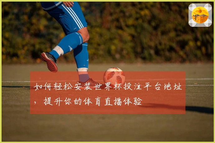 如何轻松安装世界杯投注平台地址,提升你的体育直播体验