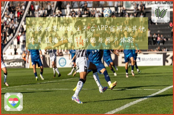 比较世界杯投注平台APP官网与其他体育直播平台的功能与用户体验