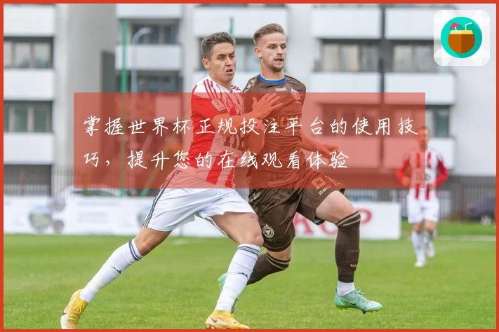 掌握世界杯正规投注平台的使用技巧，提升您的在线观看体验
