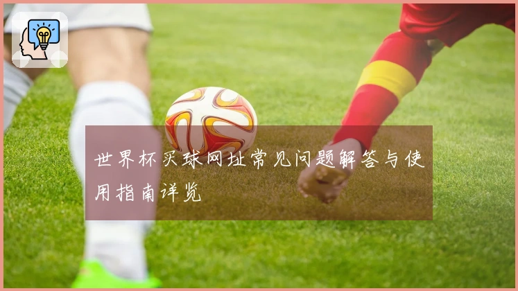 世界杯买球网址常见问题解答与使用指南详览