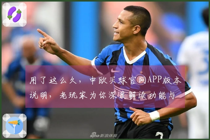 用了这么久，中欧买球官网APP版本说明，老玩家为你深度解读功能与体验