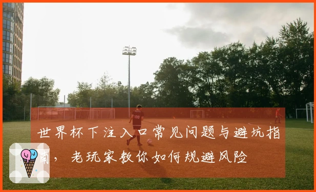世界杯下注入口常见问题与避坑指南,老玩家教你如何规避风险