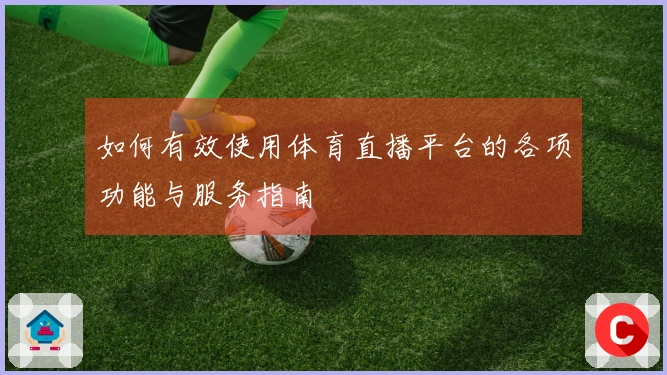 如何有效使用体育直播平台的各项功能与服务指南
