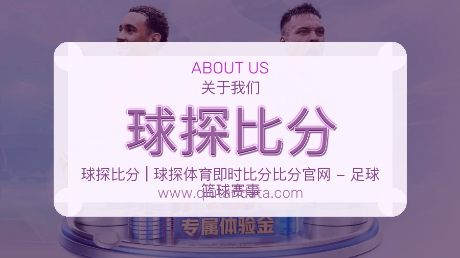 平台展示图